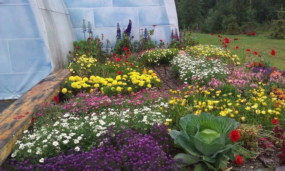 Chena Hot Springs Resort Fairbanks Exterior foto