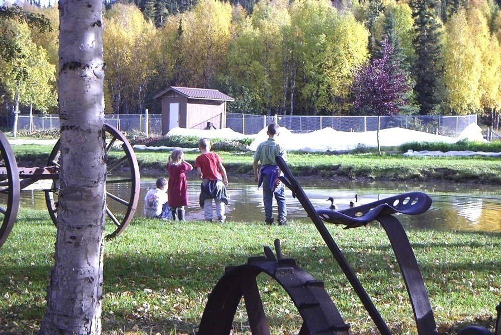 Chena Hot Springs Resort Fairbanks Exterior foto